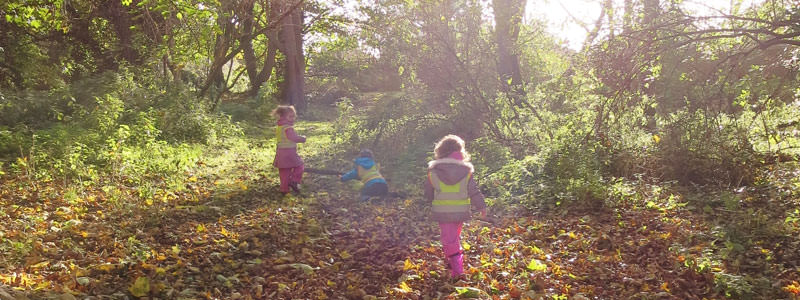 Forest School