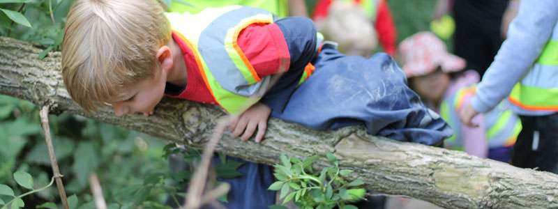 tree climbing at Forest School