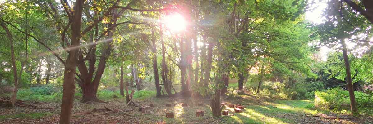 Forest School