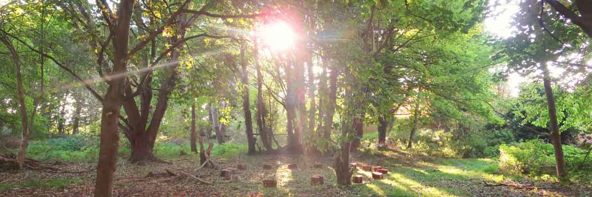 Forest School