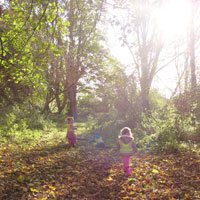 Forest School