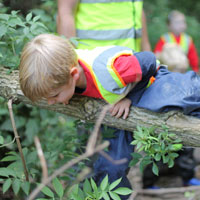 tree climbing at Forest School